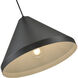 R Series 1 Light 13 inch Satin Black Indoor Pendant Ceiling Light